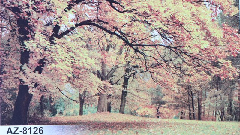 پوستر دیواری طبیعت کد 8126