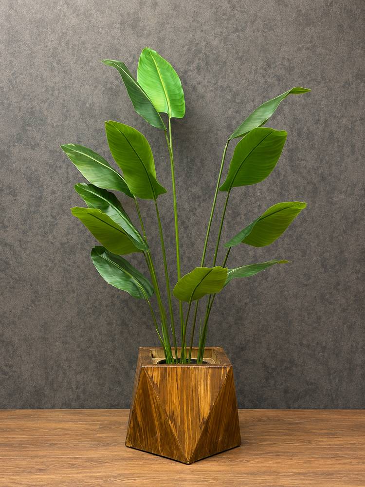 Bird of Paradise 12 Leaves