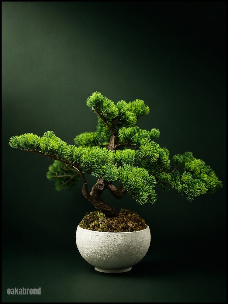 Magazine Bonsai – Code 8837