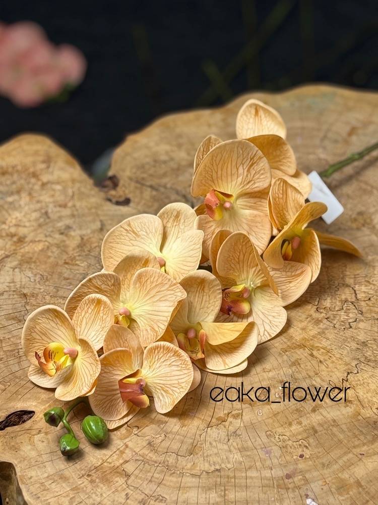 Leather Orchid – Code 542