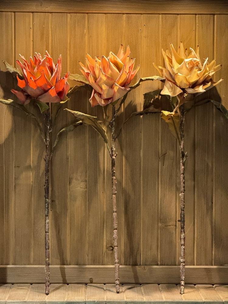 Pineapple Branch