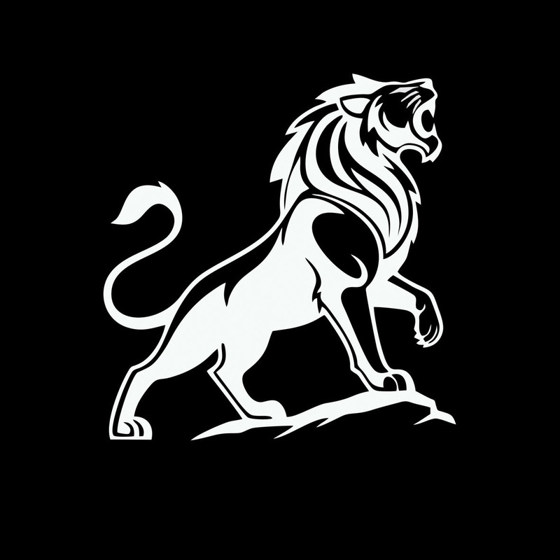 برچسب بدنه و شیشه خودرو کد L2