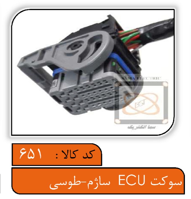 سوکت ایسیو ساژم طوسی (کامپیوتر ساژم)