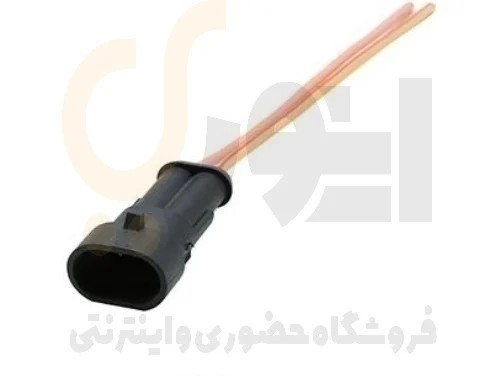 سوکت 2 دو فیش نری رگلاتور سوکت سما الکتریک
