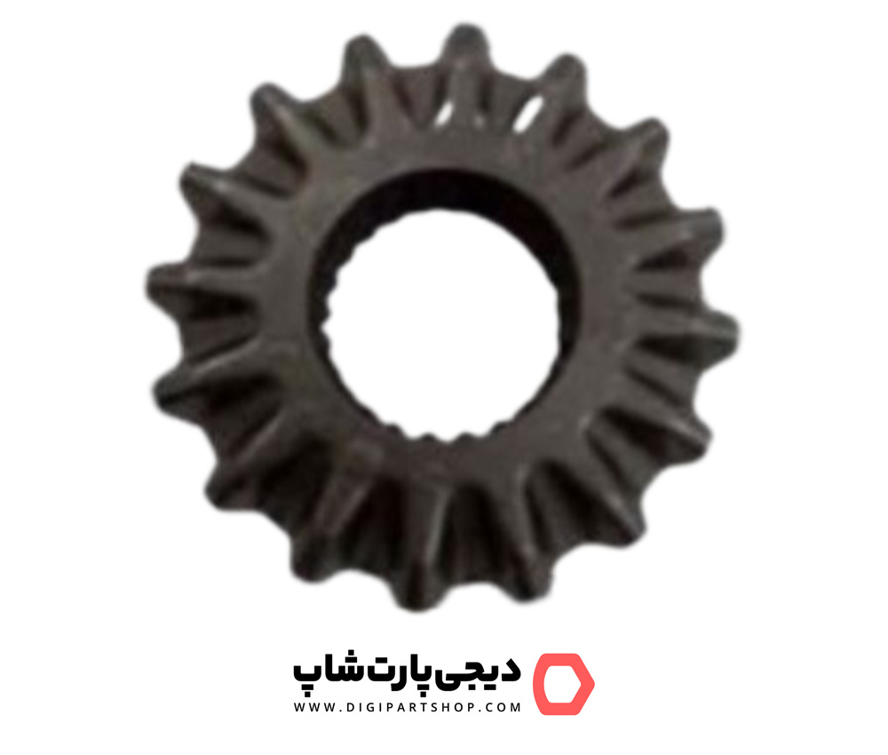 دنده دیشلی 