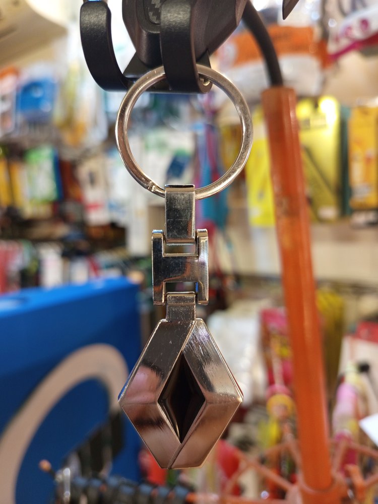 جاسویچی خودرو مگان ( رنو )