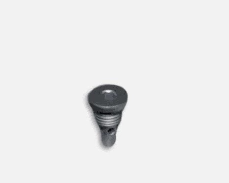 پیچ میل سوپاپ مناسب X33 کراس (کد 481H-1003031)