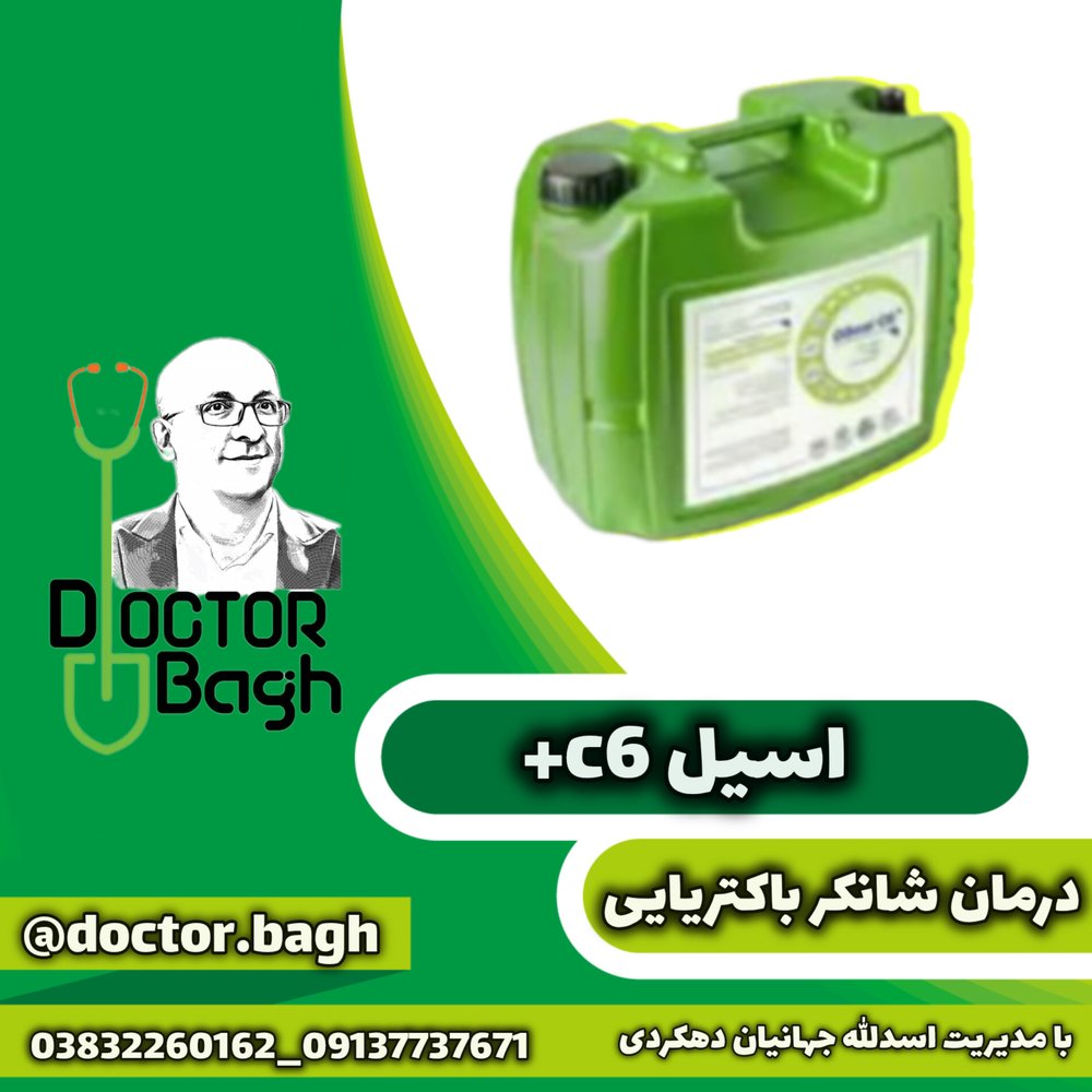 اسیلC6+ (گالن 20 لیتری)