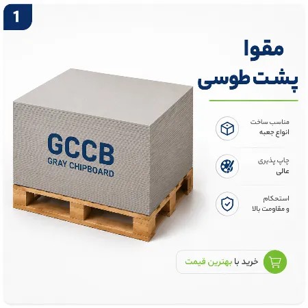 پشت طوسی
