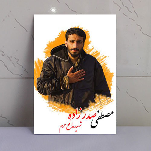 قاب شاسی شهید صدرزاده