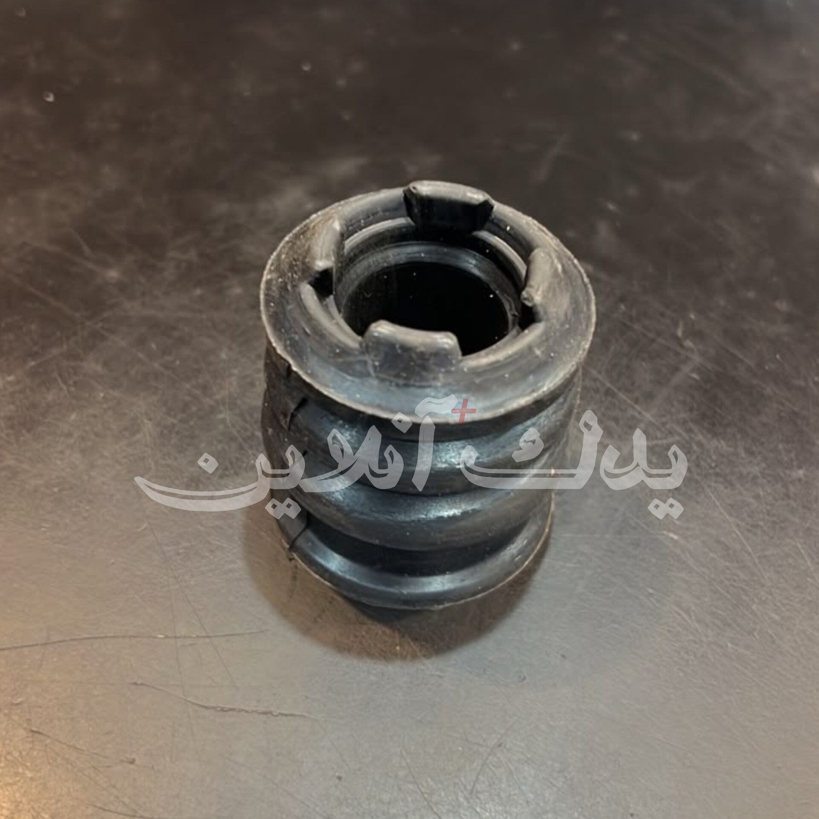 ضربگیر سرکمک زانتیا