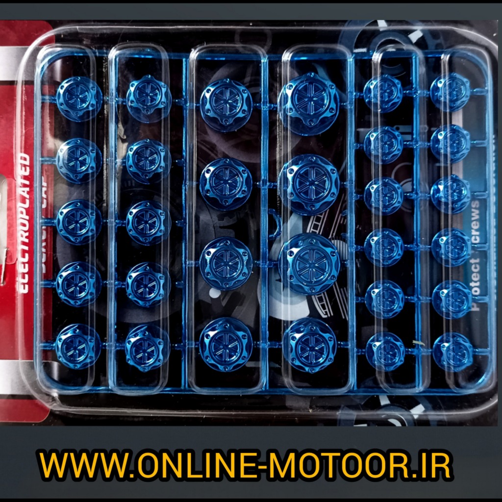 گل پیچ موتور سیکلت مدل blw1 مناسب برای هوندا 125 بسته 30 عددی