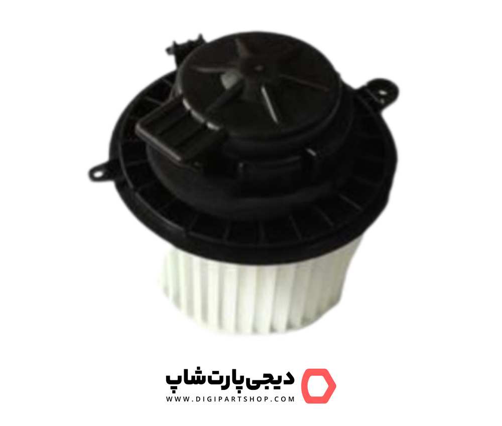 فن بخاری ‌