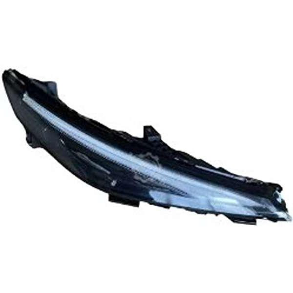 دیلایت راست لاماری