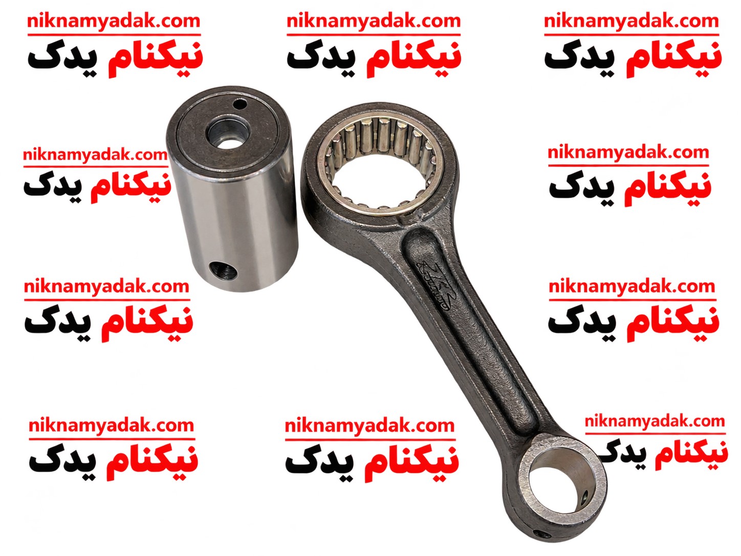 شاتون پهن – راپیدو