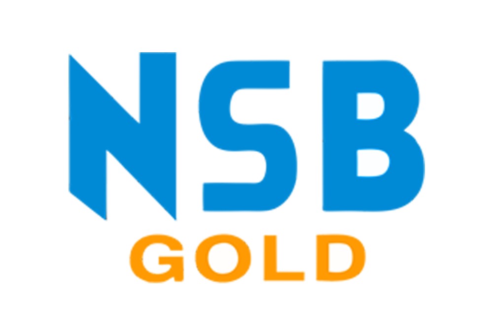 بلبرینگ NSB 6302 ZZ