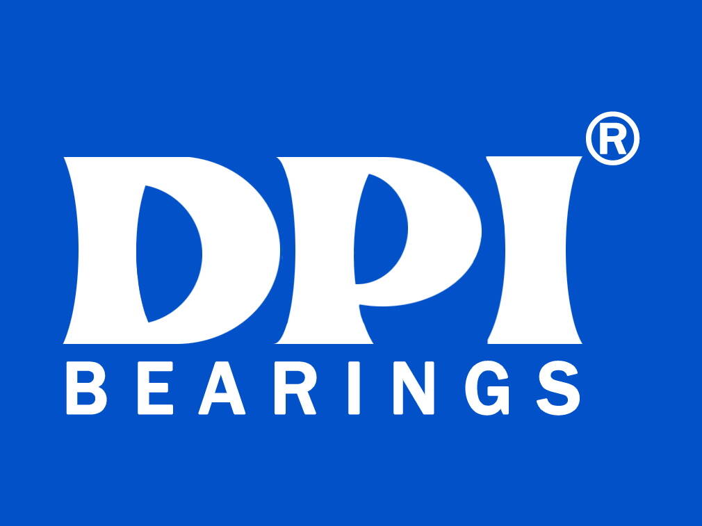 DPI 6204 2RS