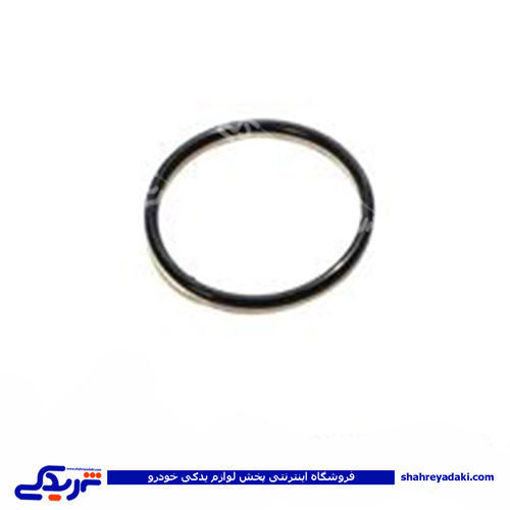 پراید اورینگ دلکو انژکتوری 9000570029