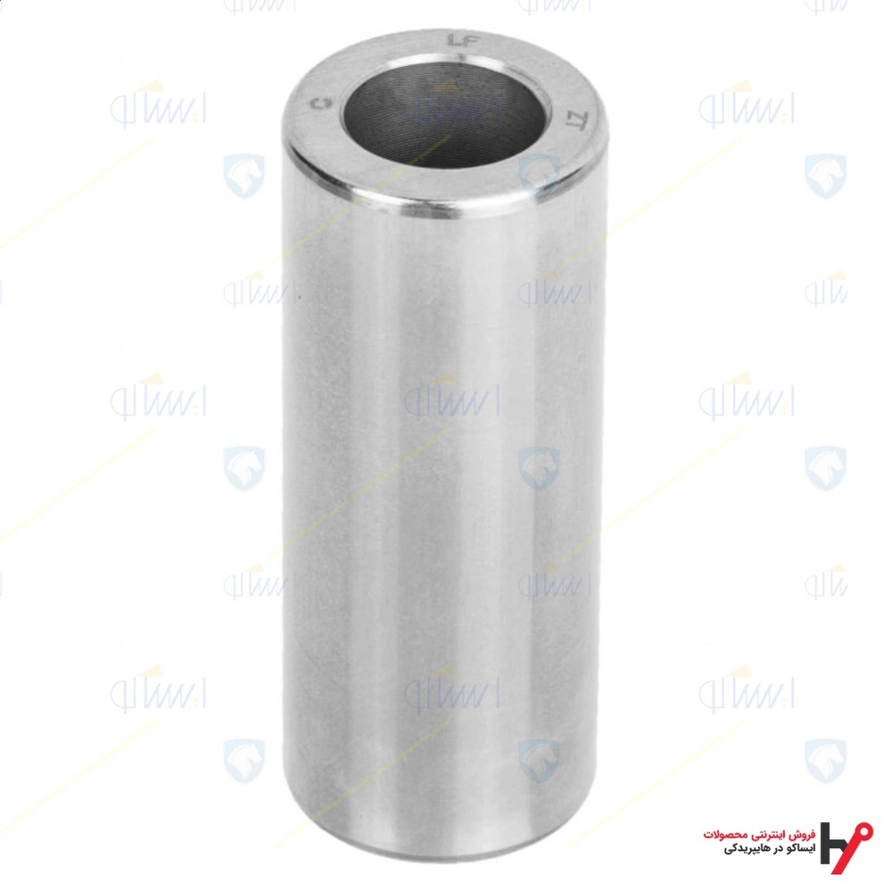 گژنپین (هایما 8S) ایساکو