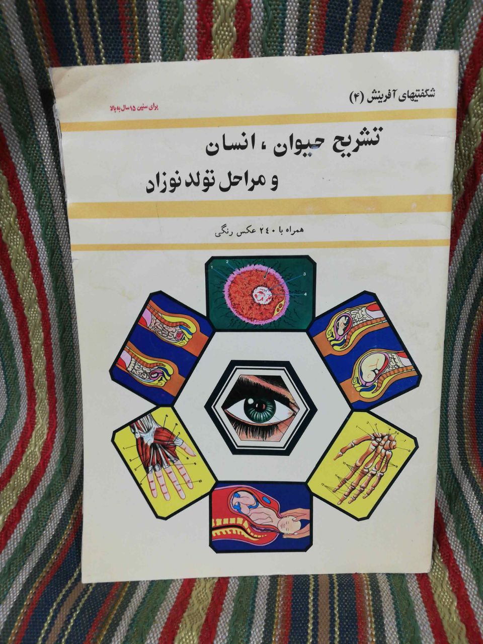 تشریح حیوان و انسان رحلی