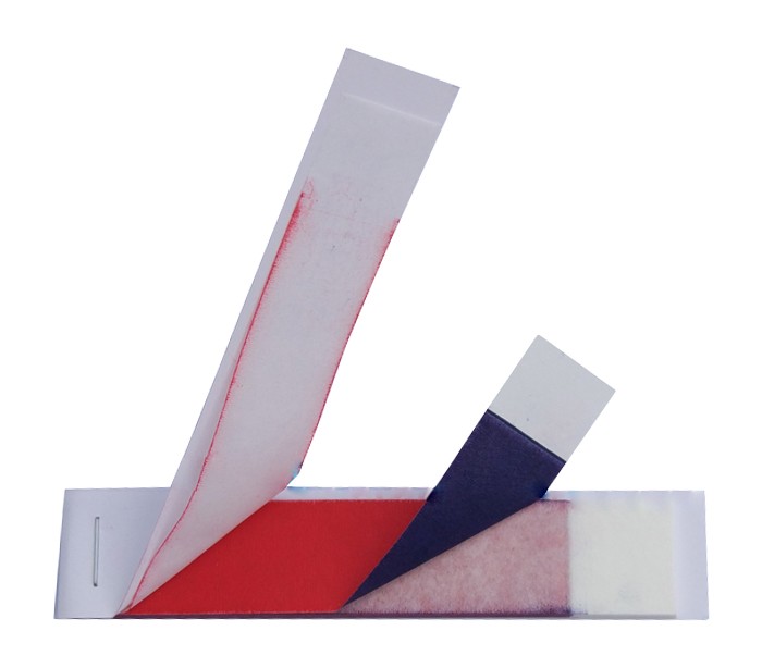 Saman Dandan - Articulating Paper