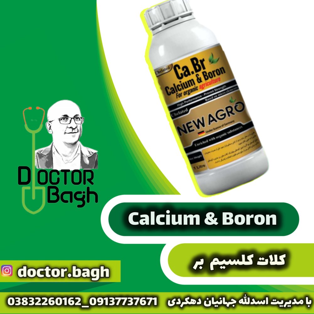 کلسیم بور