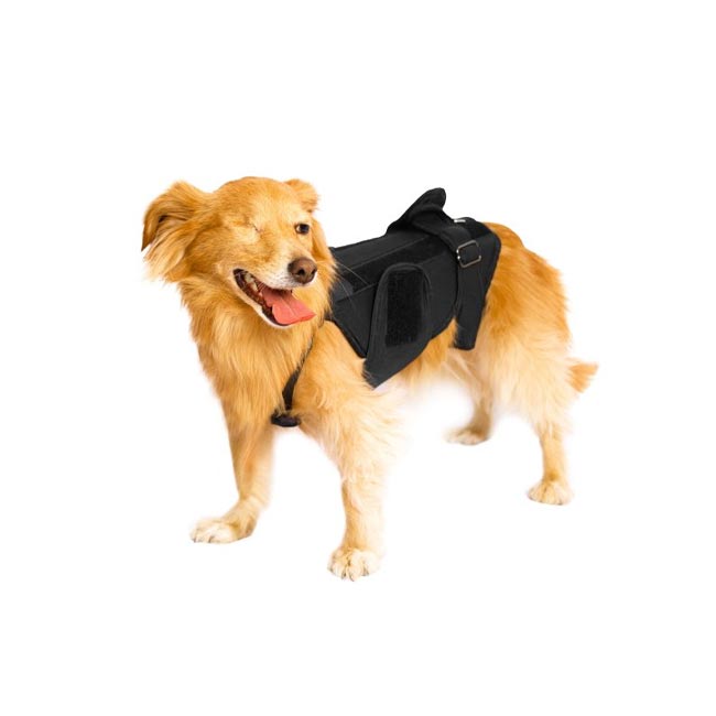 بریس کمر (Back brace)