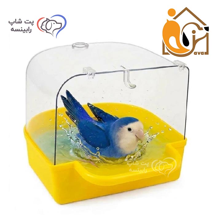 حمام پرندگان جاوا