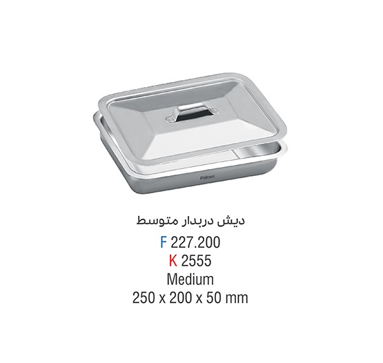دیش درب دار بزرگ کوشا
