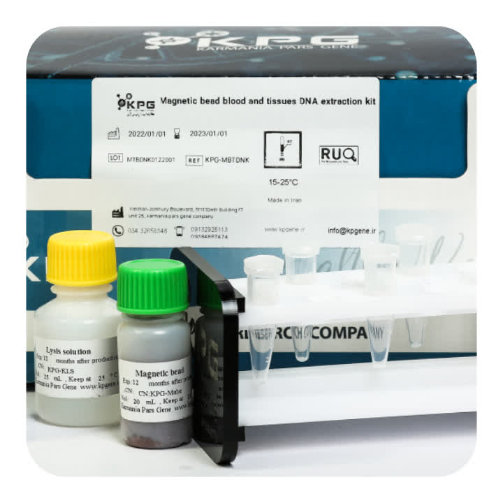 (50Reactions) Magnetic Bead Blood and Tissues DNA Extraction Kit