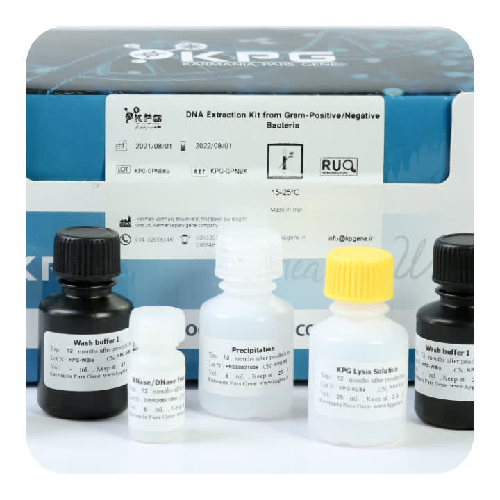 (50Reactions)Magnetic Bead DNA Exctraction Kit From Gram Positive/Negetive Bacteria