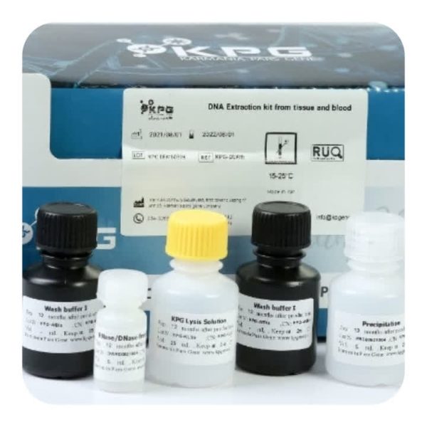 Soluble DNA Extraction Kit Blood and Tissue