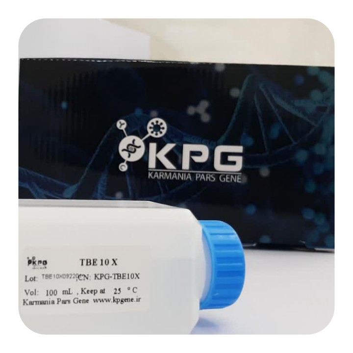 TBE Buffer 10X 100 ml