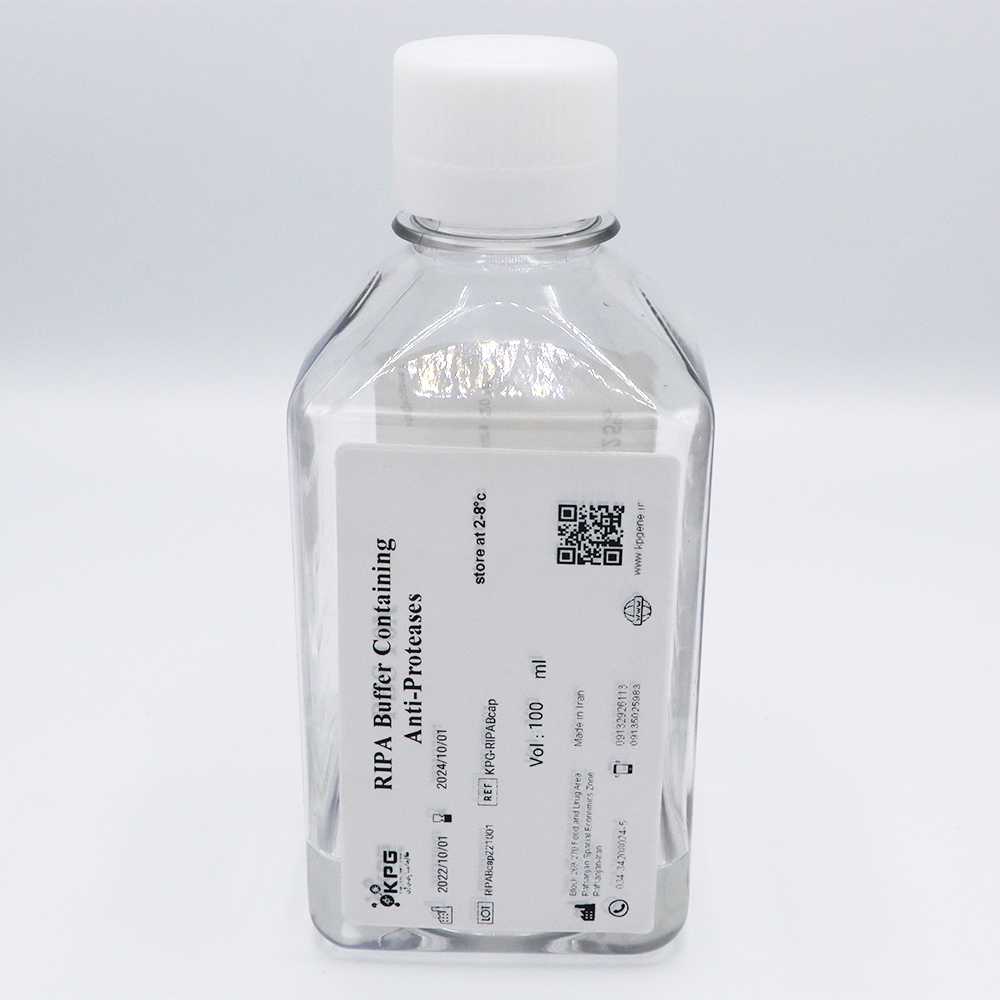 RIPA Buffer Containing Anti -Proteases 100ml