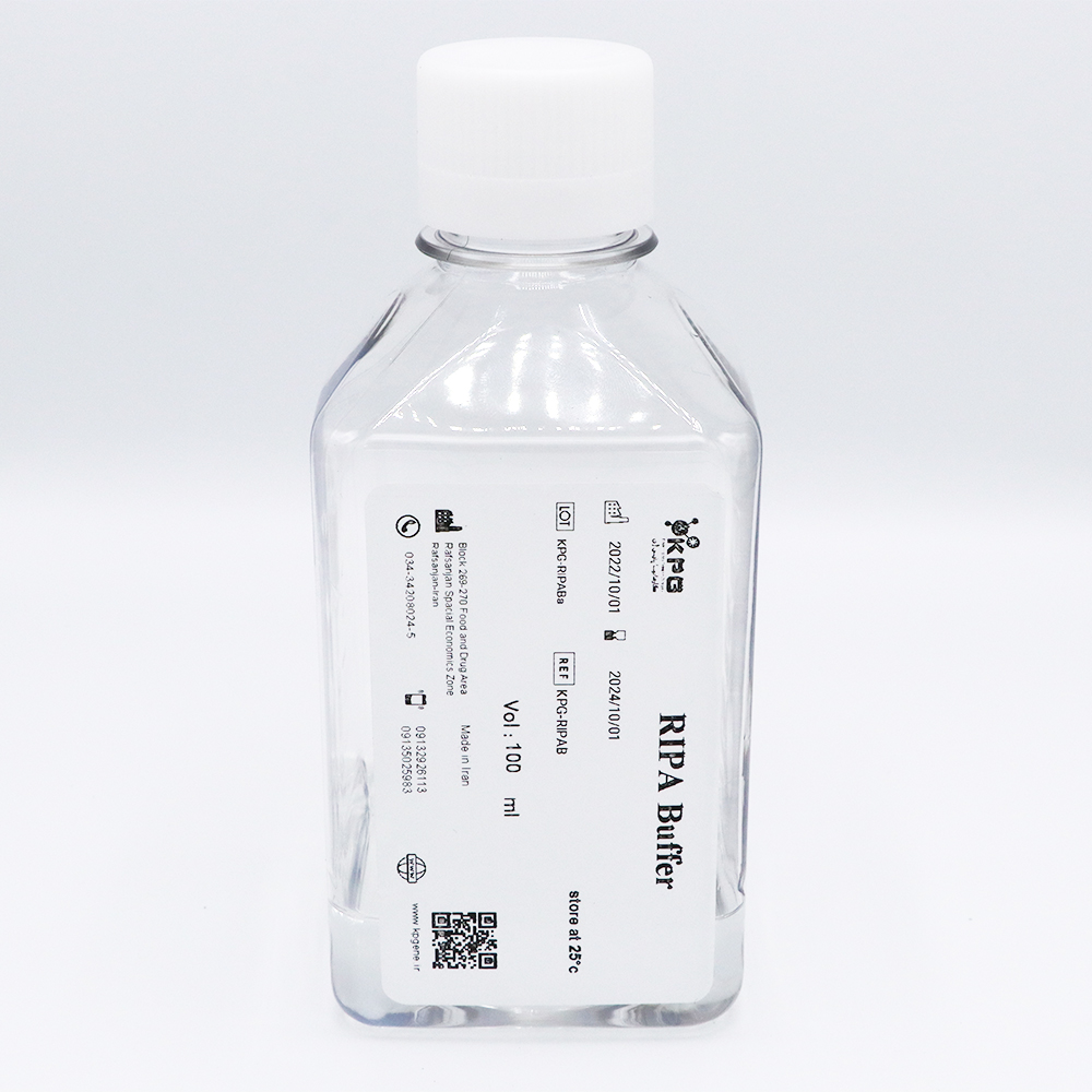 RIPA Buffer 100 ml