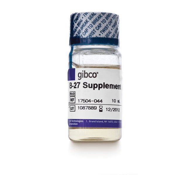 B-27 Supplement