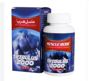 کپسول ماسل هرب
