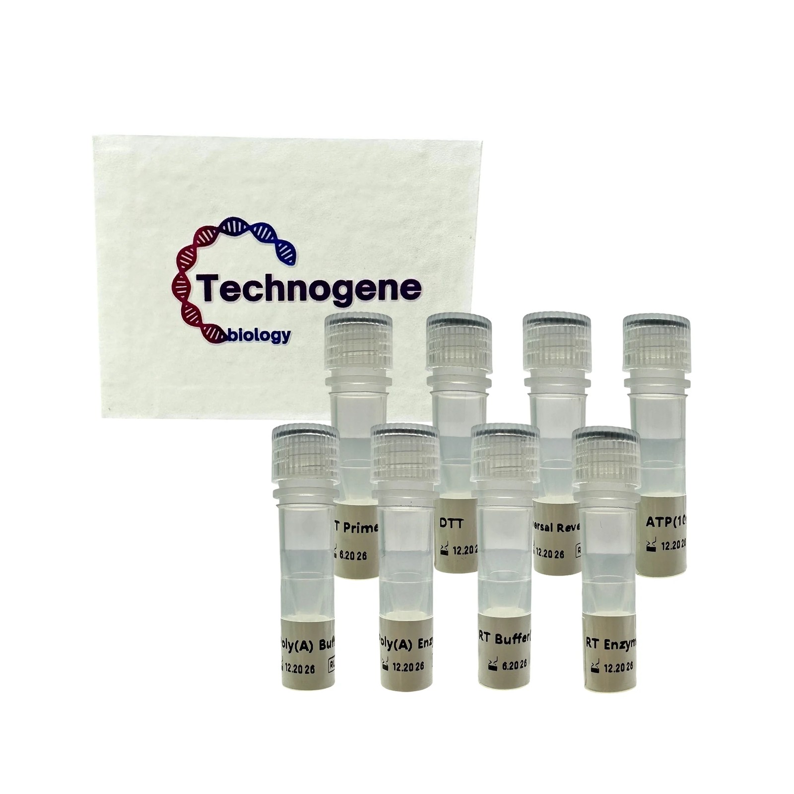 microRNA cDNA Synthesis Kit (Poly A)-برند Technogene