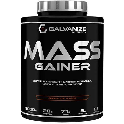 مس گینر گالوانایز3kg