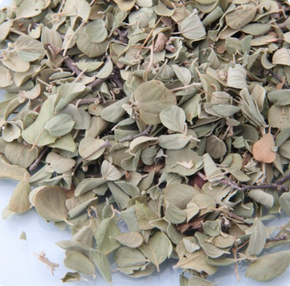 برگ سدر