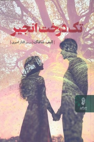 تک درخت انجیر (شمیز،رقعی،البرز)