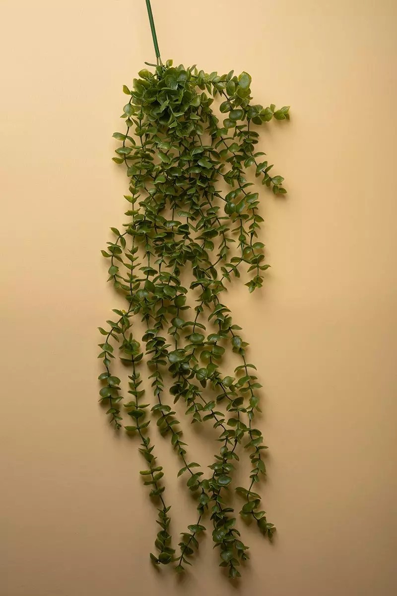 آویز سبز شمشاد و غوره