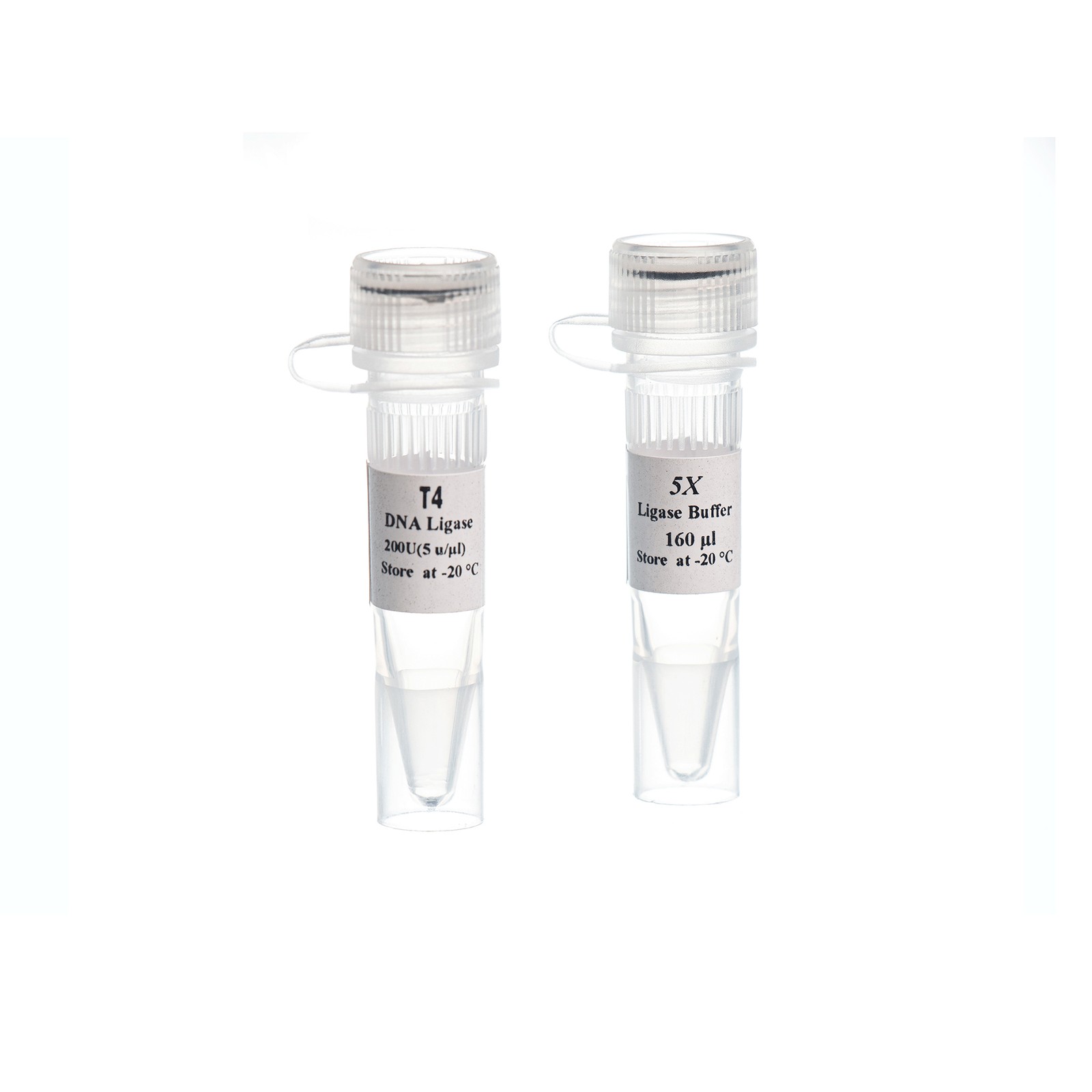 T4 DNA Ligase,4000 u(200u/ml)