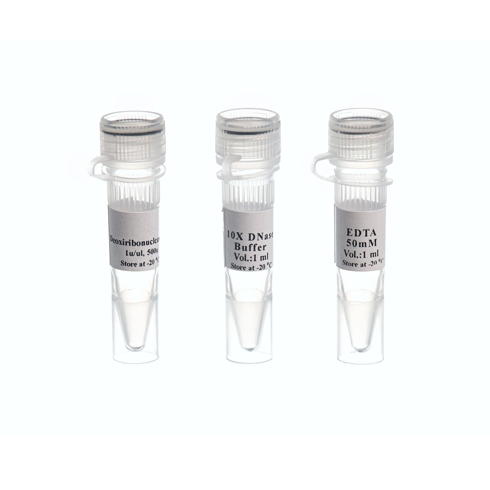 SYBR HS-qPCR Master Mix (Hi-ROX), 2X