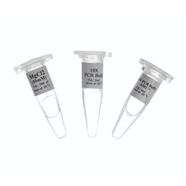 10X PCR AMS Buffer 1 ml