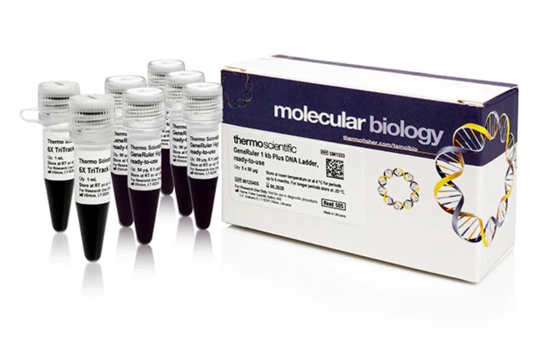 GeneRuler 1 kb Plus DNA Ladder, ready-to-use