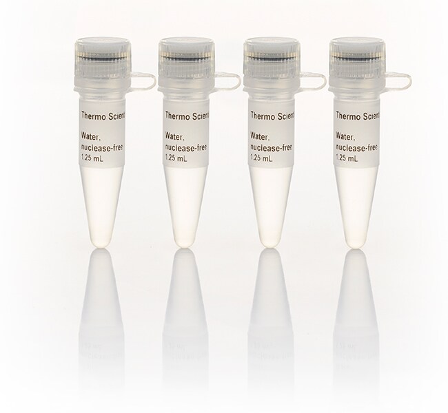 Water nuclease-free