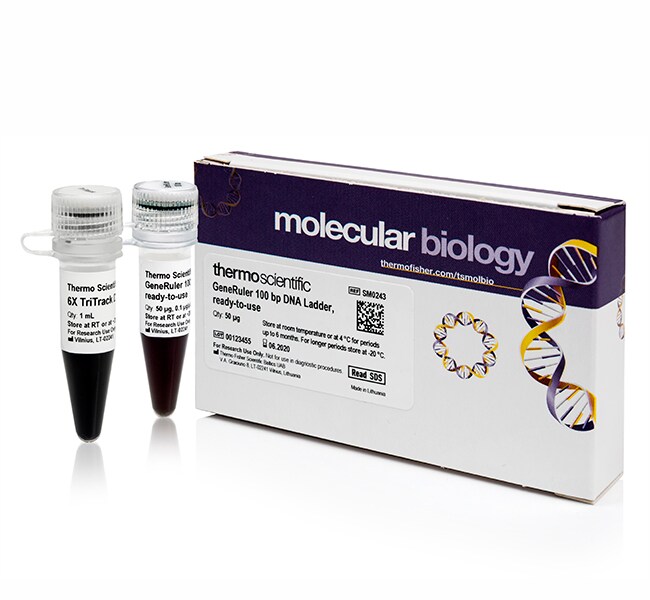 GeneRuler 100 bp DNA Ladder, ready-to-use