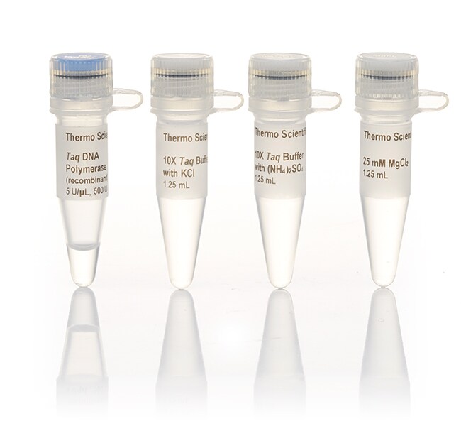 Taq DNA Polymerase, recombinant (5 U/µL)