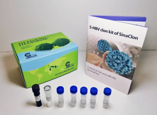 HBV real time quantitative-24test